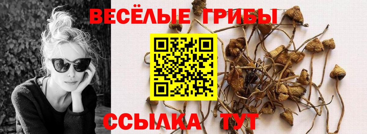 Галлюциногенные грибы мицелий  Псилоцибиновые грибы мицелий  Вход с VPN  Баксан 