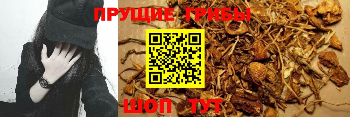 Галлюциногенные грибы MAGIC MUSHROOMS Баксан