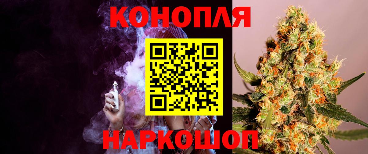 Бошки Шишки VHQ Баксан